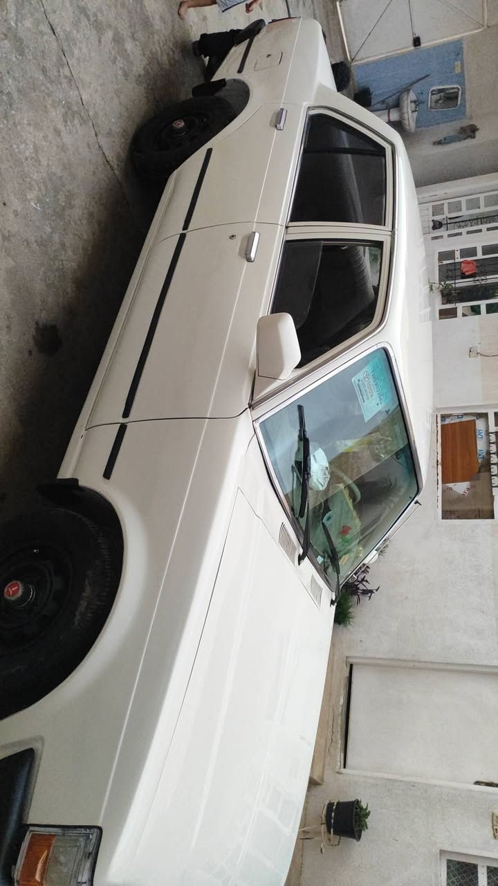 كرونا 81  كير 4
صبغ عام 

بسمي 

سنويا ل29

سعر 35

***********

***********
