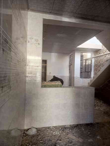 ياالله 

يوجد لدينا بيت للبيع حي ميسان قطاع 23 قريب شارع الجامع مساحه 100متر يحتوي على غرفه وصاله واستقبال ومطبخ وصحيات صب كونكريت ارضيه بورسلين جدران سيراميك سقوف سي إن سي شغل درجه اولى السعر المطلوب 105مليون 

للاستفسار والمعلومات الاتصال بنا ع الارقام التاليه 

***********

***********

***********

او مراجعه مكتب ألروان للوساطه العقاريه والمقاولات العامه 

عنوان المكتب حي ميسان ع الشريط قرب صيدليه الشراع 

عندك بيت عرصه للبيع راسلنه وات ساب وتدلل
