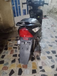 ثعلب • نضيف • راشديه