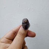 خاتم • جمجمة • قديم