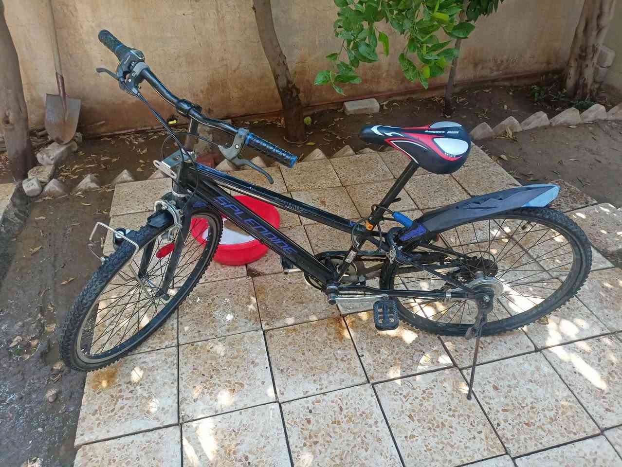 للبيع بايسكل جبلي حجم 26 نضيف بالة ماركة أصلية
السعر 150 وبي مجال 
للأستفسار خاص او على *********** 
بس التاير اني ابدلها او انطيك فلوسها
