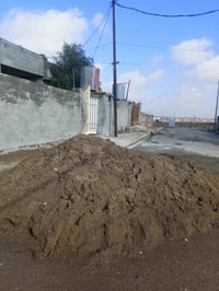 اخوان رمل للبيع 07733818874