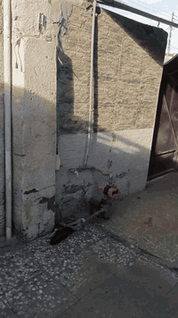 دار للايجار ٣٠٠ متر 
٣ غرف نوم واستقبال وصالة 
حمام وتواليت داخلي 
حمام وتاليت خارجي 
مي وكهرباء ومجاري جاهز للسكن 
المعامل الحسينية شارع البوشنان اول تقاطع 
***********
