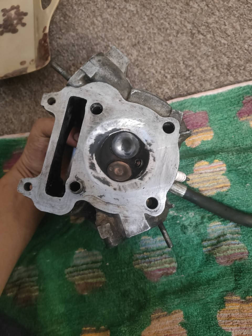 سلام عليكم كور ولفين كبار يفيده خلي يراسلني


**إذا كنت صاحب هذا الإعلان وتريد حذفه لأي سبب، رجاءا أرسل رسالة إلى الدعم الفني**