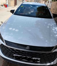 المراوس • ٢٠٢٥ • النجف