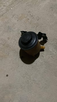 صني • كوري • اصليات