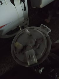 قواعد فيت بم باڤندر وارماده ونسيان سني هندي القديم اخويه مفول نضافه مي...