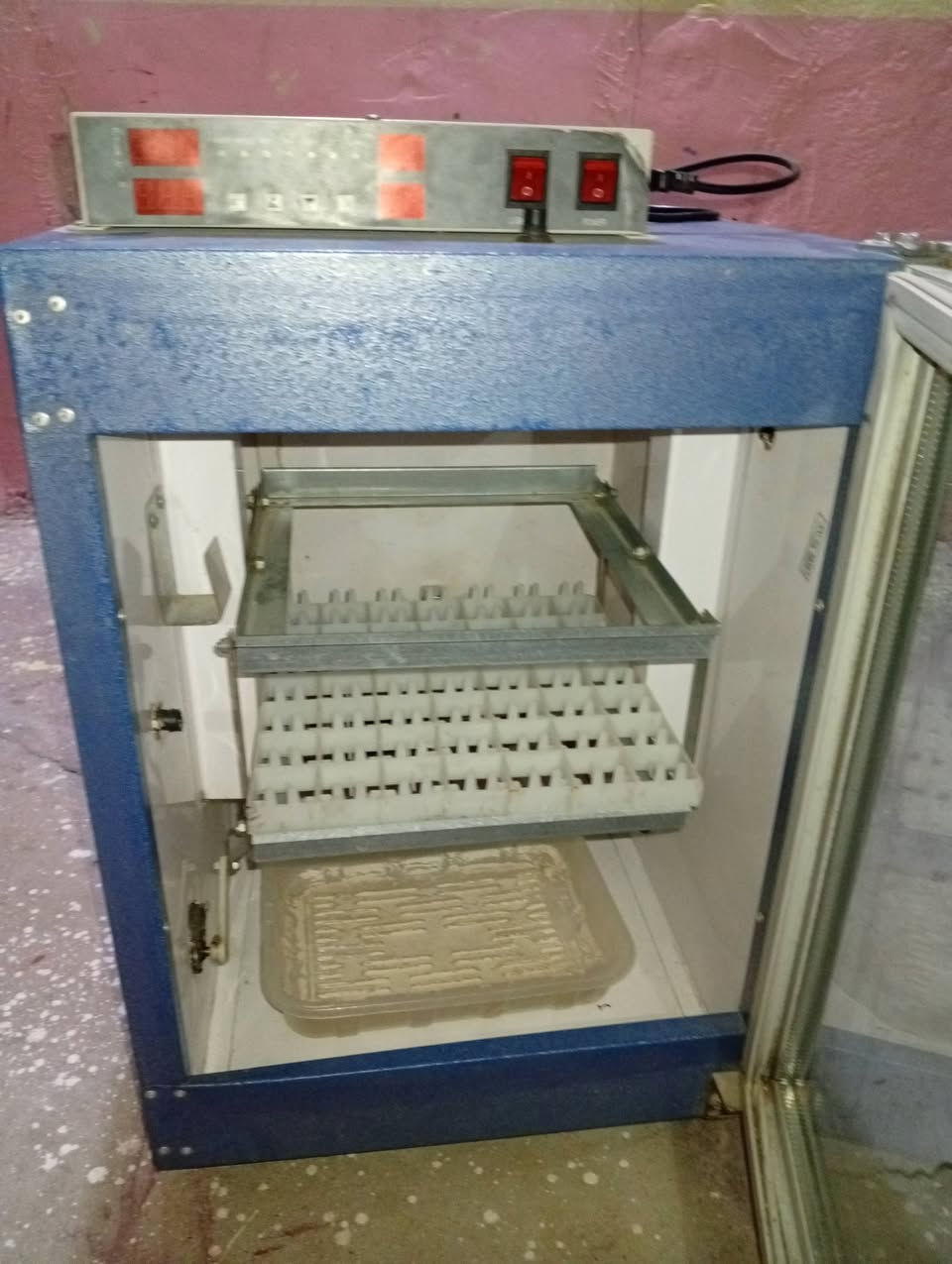 فقاسه لبيع ميسان لمجر لكبير لسعر 250وبيه مجال ***********
