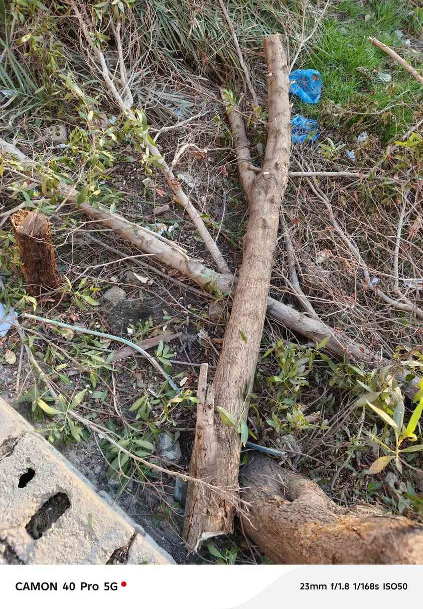 سلام عليكم حطب للبيع انطي سعر الي يعجبك واخذه مكان نهروان قرب اسواق القمة ***********
***********
