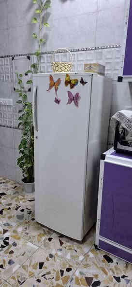 السلام عليكم عندي هاي العجانه والثلاجه نوع ال جي البيع رايدهن 250 رقم ***********
