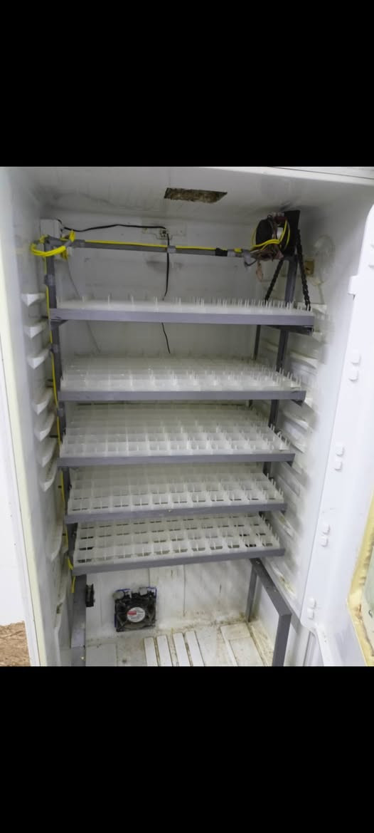 صنع قلابات فقاسات تقليب بيض اوتوماتيك اتصال استفسار واتساب ***********
