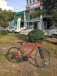 REID Dual Top • شبه جديد • ضمان مدى الحياة