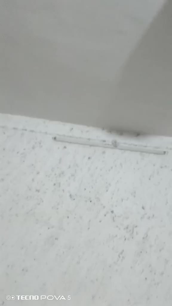 س
سلام عليكم للبيع 26


**إذا كنت صاحب هذا الإعلان وتريد حذفه لأي سبب، رجاءا أرسل رسالة إلى الدعم الفني**