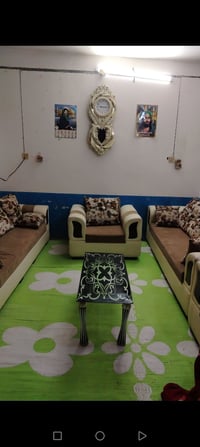 تخم تزكام البيع سعره 400 رقم الهاتف 07825853803