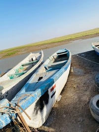 بلم • ١٦ ذراع • خور الزبير