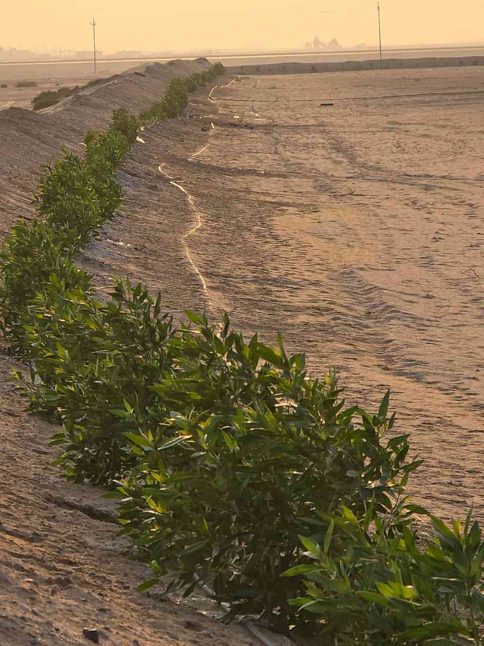 دوانم للبيع
السلام عليكم 6 دوانم للبيع كل دونم 50م50Xم على الشارع العام توجد كهرباء وطنيه ومحوله على طريق النجمي على الرفيع سعر الدونم 7 ونص مكانهن على التبليط عقد زراعي قيد الانجاز

تفاصيل اكثر اتصل ***********
