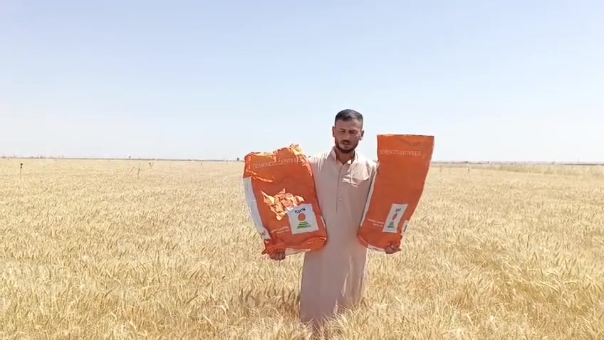 حنطة باجران من شركة kws الألمانية  بنت المغلف نقاوة 100٪ حنطة ممتازة جداً بأشراف المهندس ابراهيم حسن الياسين والحقل موضح اامامك عزيزي الفلاح السعر 900
#للبيع
حنطة صنف  باجران من شركة kws الألمانية  بنت المغلف نقاوة 100٪ حنطة ممتازة جداً بأشراف المهندس ابراهيم حسن الياسين والحقل موضح اامامك عزيزي الفلاح السعر 900
حصاد اليوم تاريخ الزراعه 11/18 انتاج خير من الله انصح الفلاح الاتجاه صوب صنف الباجران غلة قليلة انتاج وفير
رجاءً (قل خيراً او اصمت)
للأستفسار الاتصال بالرقم
***********
او***********
