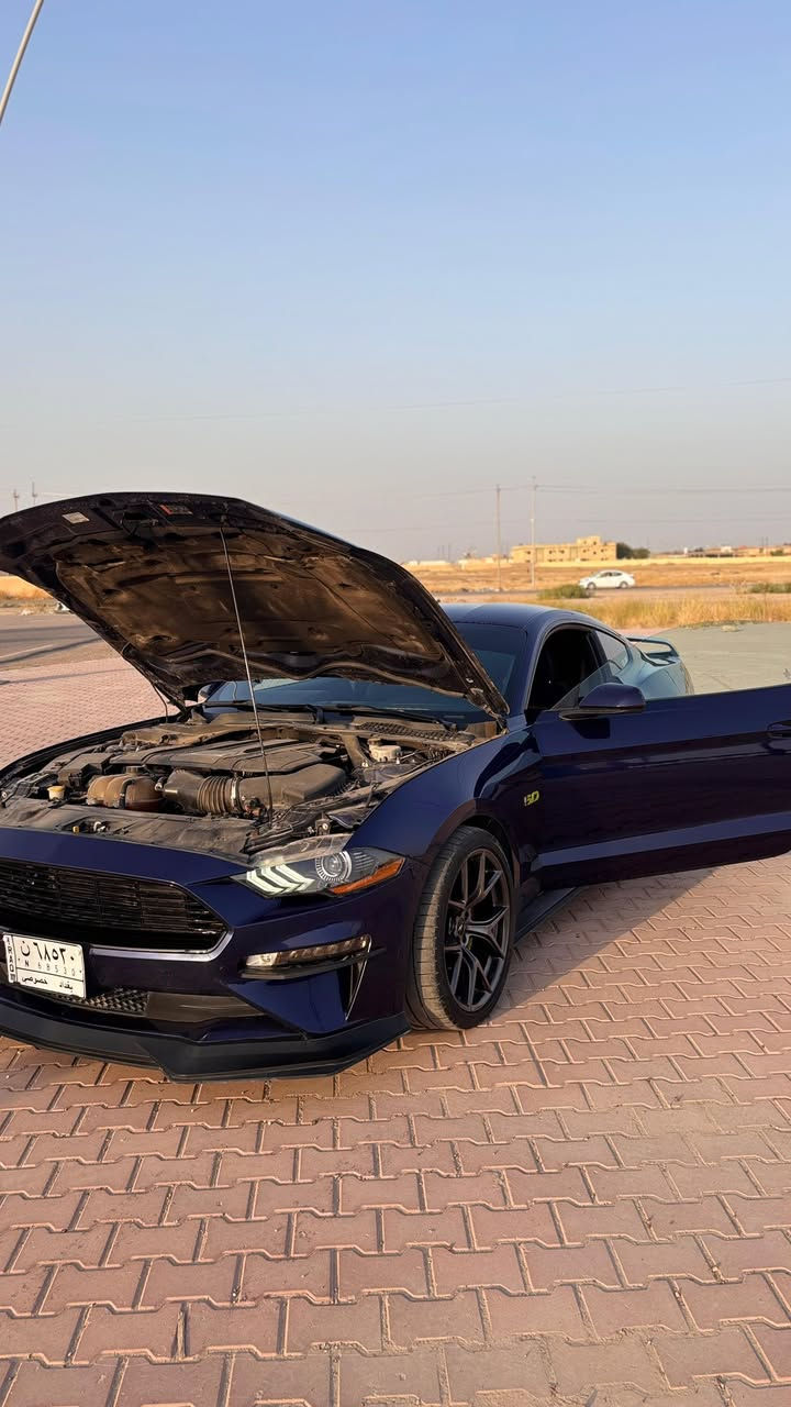 للبيع او المراوس حسب القناعه
فورد موستنك كير عادي GT 2019 Pp2
الموديل 2019 
العداد 49 الف 
المحرك V8 / 5.0 🔥
الگير  كير عاددي ناقل يدوي
الـون أزرق - حبري 💙
الضرر او الحادث سيارة كلين وصار بيها 4اصابع بالعراق بارد ☑️

#مضمومه_مواستخدام_يومي_السياره
- السيـارة فووووول مواصفات Pp2
- ⁠عليهـا هواية أضافـات 

اكتف اكزوز 4 وضعيات صوت
فجوج برمبو 6 بستم مو 4 )#
‏‎-خمس وضعيات قيادة
‏‎-ثلاث وضعيات ستيرن
‏‎-دشبول سبع الوان 
-دوسات سيع الوان
‏‎-كشنات كهرباء
‏‎-حساسات خلفيه
‏‎-سستم صوت
‏‎-شاشة sync3 تدعم الكاربلي + اندرويد اوتو
ادامة كامله جديده من منظومة بانزين والنوزلات + بلكات ريسنك جدد قبل يومين شديتهم + دهن ادينول جديد
الاكسل 3.73 مو مثل الفول 2.55
.. دفيوزر لايت اوربي $100
لدات جانبيه ابيض اوربي 90$ اوربيه
‏Ford Performance $150 / كاعيات وارضيات جلد طراز
‏GT-60$ قبضه كير
ستيرن فورجيت كاربون$400
شباك امامي CS 150$
سكوبات بلوجكترات اماميه RTR 50$ #
 لحيه اماميه RtR 75$+اضافة
دوسات جانبيه RTR 70$+اضافة
واقعيات دعاميه خلفيه جوانب RTR 50$
السيارة مفرغة داون بايب وبرمجـة سيف تيتو
سيارة وياها سترين الاصلي وفورجد
وياها بك لايتات الاصلي والاوربي 
وشباك عدد 2وياها ابو لد والاصلي

السعر 195 ورقه وبيه مجال للشراي 
الموقع : تكريت 📍
للتواصل واتساب او اتصال ***********

مكلفين بالنشر فقط اي استفسار ع واتساب ‼️
رابط الواتساب المباشر للمراسله 👇🏻♻️🔰
https://wa.me/9647738446987
