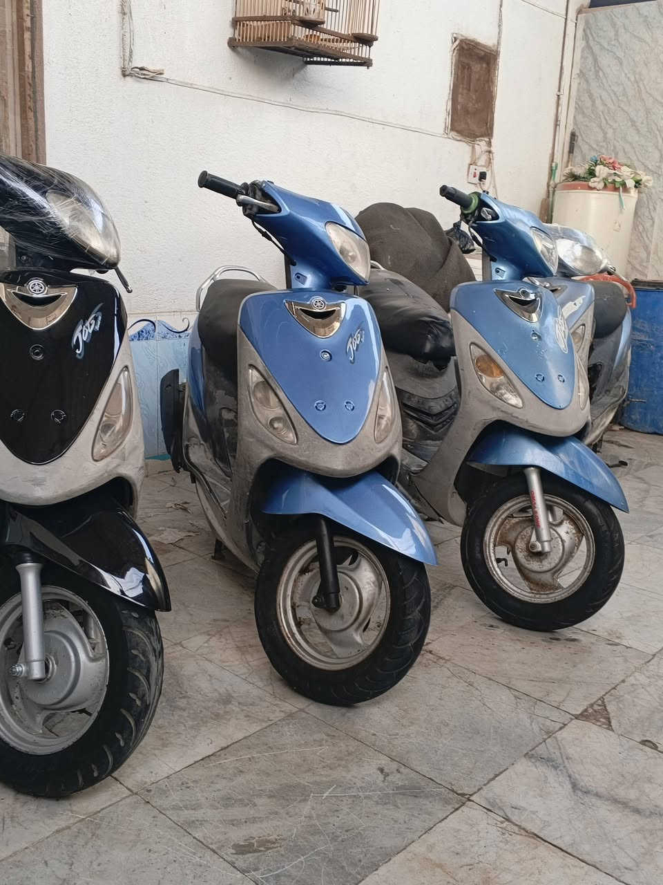 ‏سلام عليكم دراجات ماكس منغولي  دراجات حلوات وشغالات من الطول الطول الشراي اتصل مكان الناصرية مركز الدراجات أحله من صور  السعر ع 550
***********

￼
