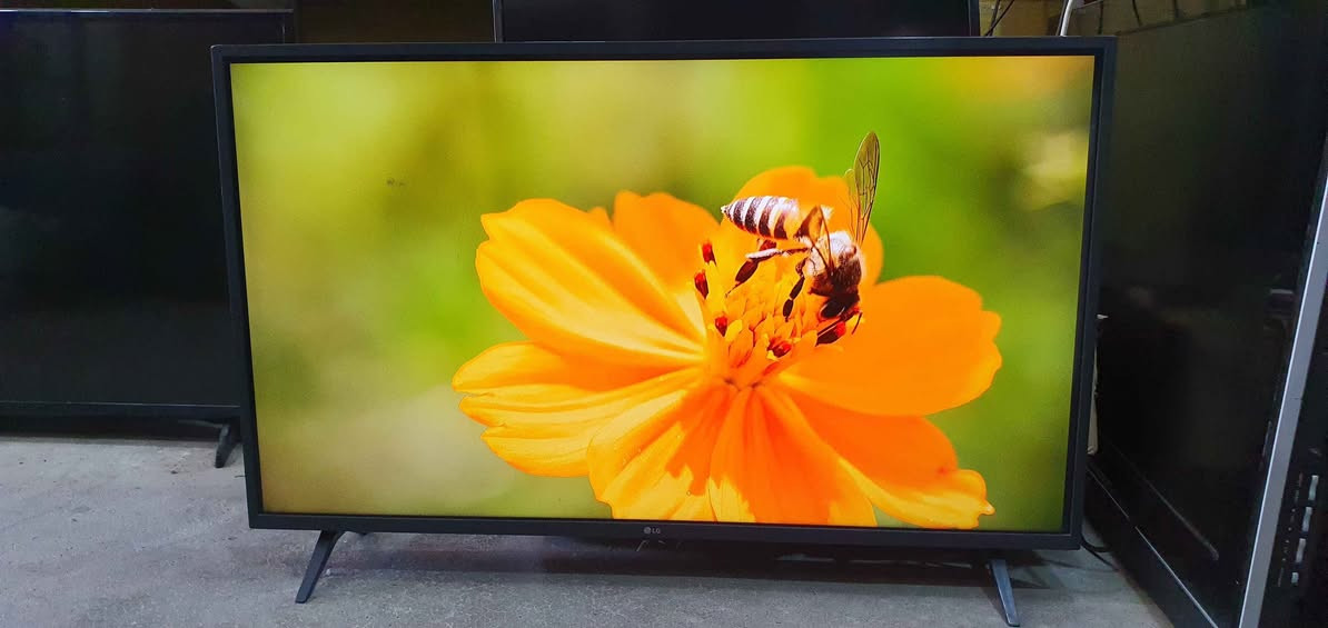 تەلەڤیزۆنی LG سمارت HDR قەبارە 43
مۆدێل LM 6300PVB سەتەلایتی تێدایە
نرخی 160000 لە هەولێرە پەیوەندی بکەن
بە واتساپ و ڤایبەر *********** أربيل, العراق
