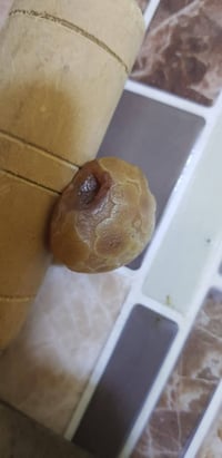 سليمانيات • مدينة الصدر