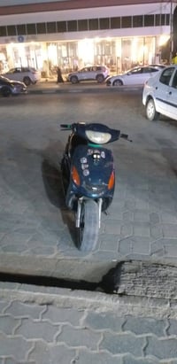 دولفين • سلف • جنطه