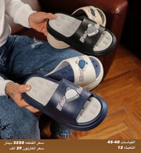 سلبر بولو • جملة • ١٢زوج