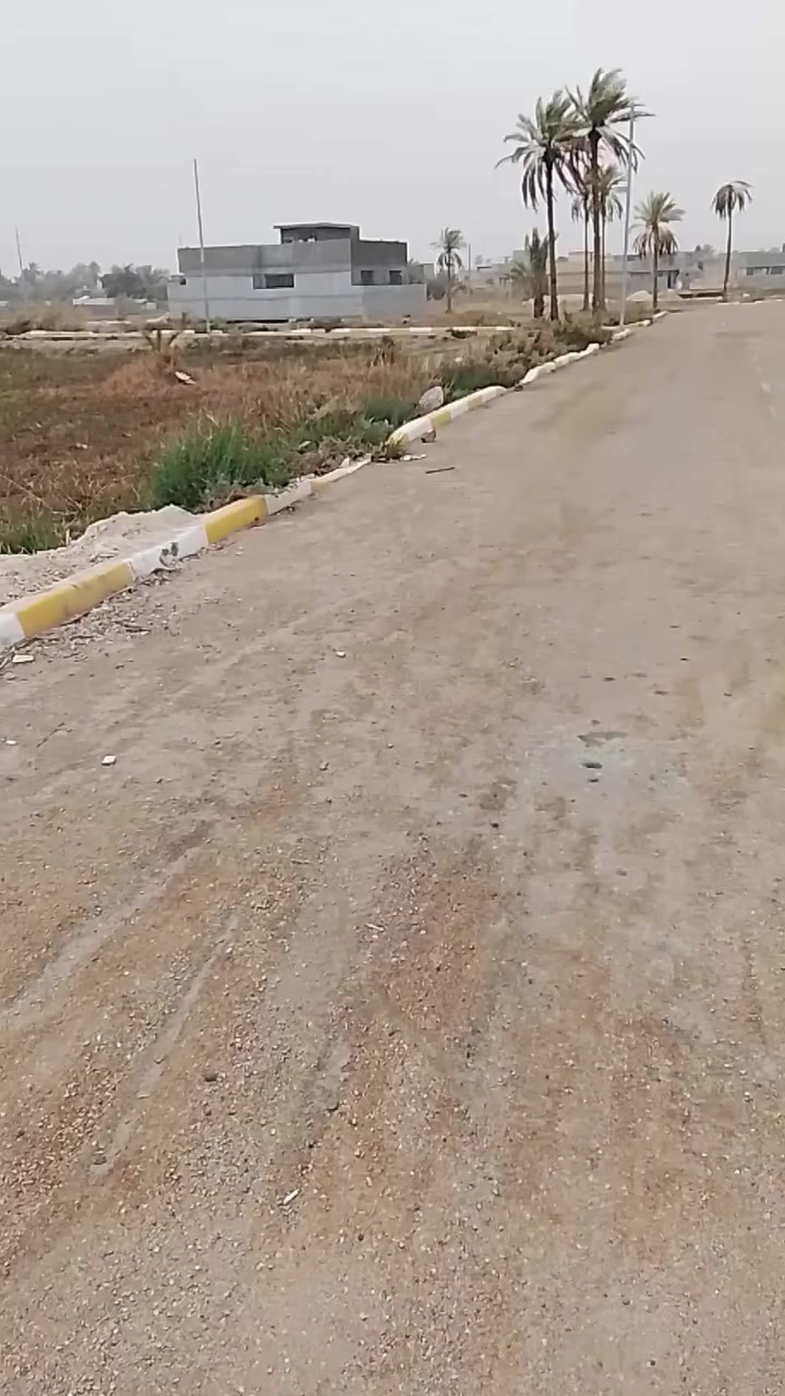 ***********
 ***********
