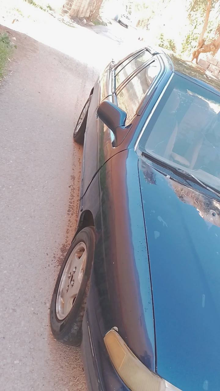 يالله سيفيه موديل 93سنويه جديده هزه جديده لل 30
محرك مسكر كير  عادي محرك نضيف لا صرف ولا بخار كير كذالك كل تبديلات  تجي  ونه مابي اي ضربه مابيه تكم قماره شواصي فرممات  مكفوله كهربيات كله تشتغل لايتات جدد    باتري جديد جامه جديده سعر 25بيه مجال حك جيتك مكاني ديالئ بعقوبه تحرير ***********بل عافيه ع ياخذه
