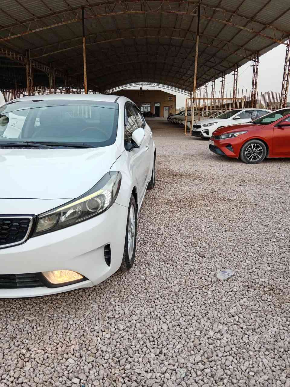 كيا سيراتو موديل ٢٠١٨ رقم بغداد دولي بأسمي مواصفات السيارة تحكم استيرن شاشه وكامره مري شفط إشارة بالمري لد امامي وخلفي بلاجكتور ويل كب ماشية ٦١ الف كيلو متر السيارة جديده بيها رشات صبغ بدون عابر السعر ١٣٥ ورقة نقد أو مراوس مكان السيارة السماوه الرميثه للاتصال *********** او ***********
