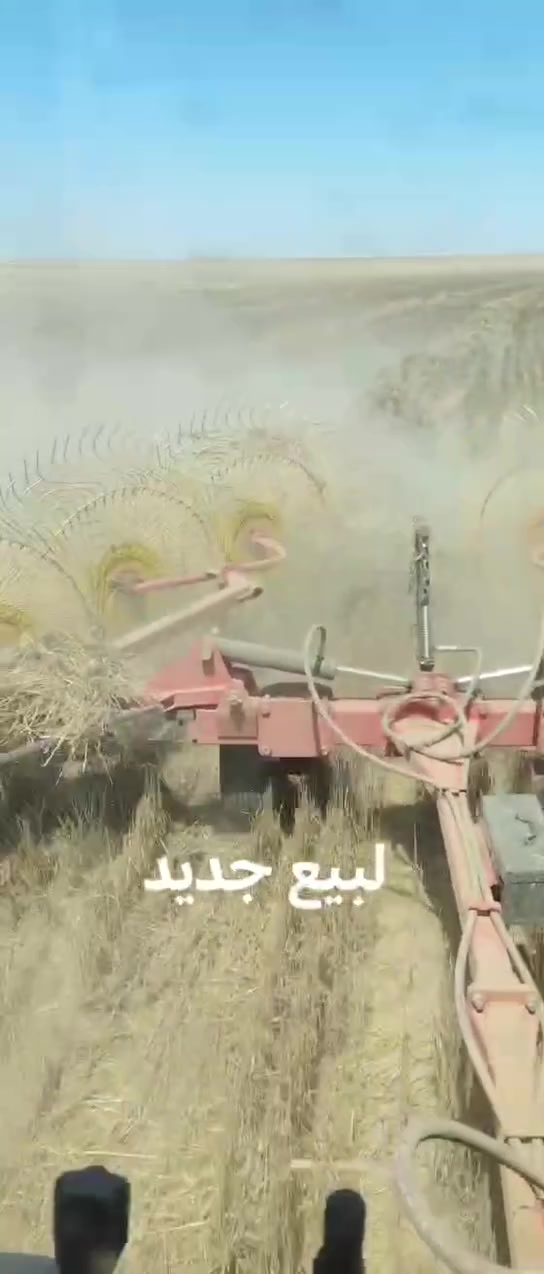 سويرت جديد للبيع ‏‪***********‬‏
