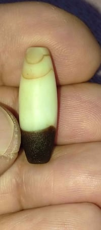 جزع حبشي • قديم • كربلاء