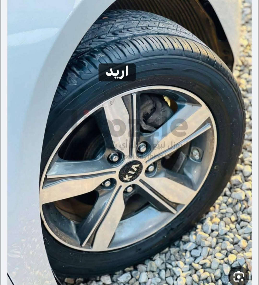 السلام عليكم شباب عندي ويل فورتي اريد مروس بويل كب


**إذا كنت صاحب هذا الإعلان وتريد حذفه لأي سبب، رجاءا أرسل رسالة إلى الدعم الفني**