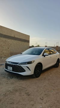 جن بلص • ٢٠٢٥ • رقم اربيل