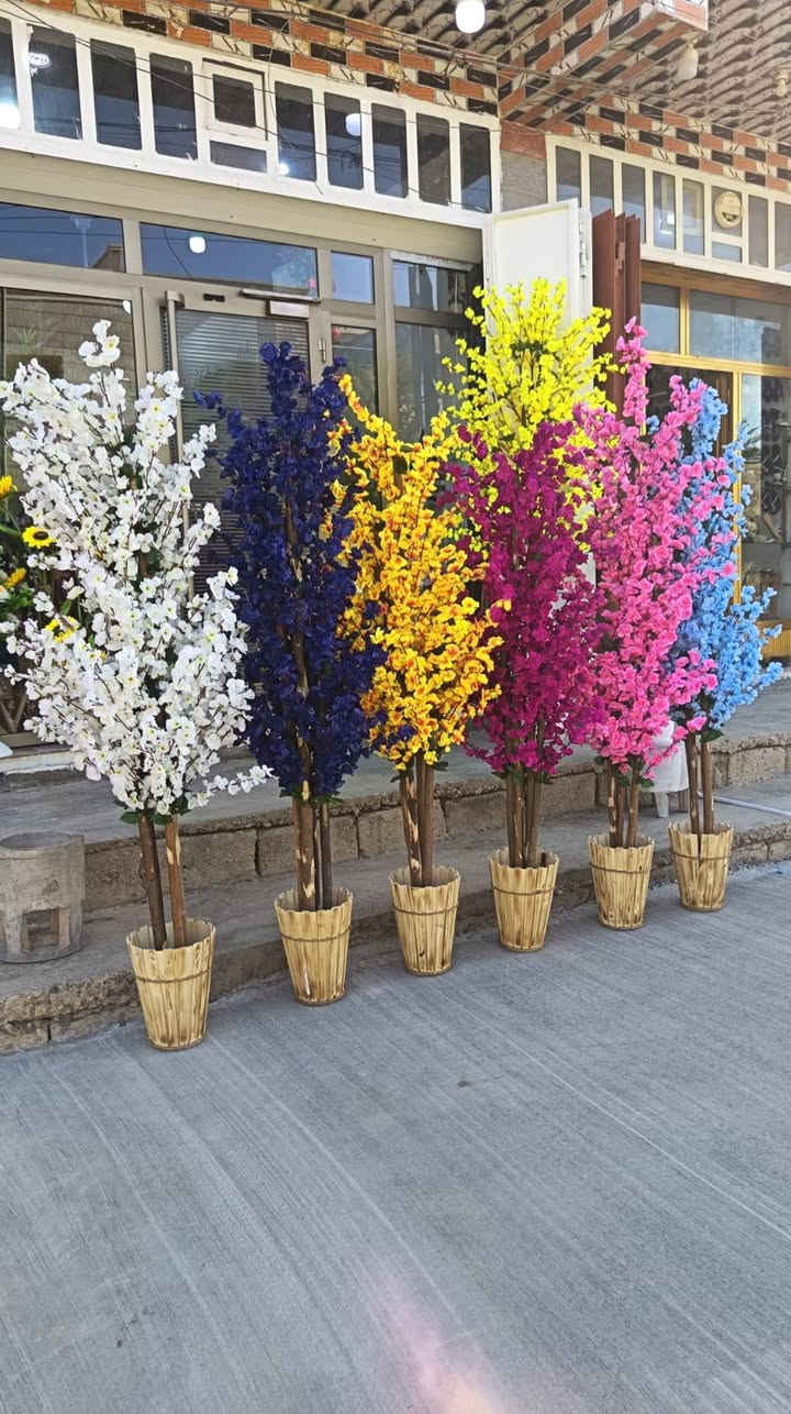 تصميمنا وشغلنا 🥰 🌹 💐
هالمرة الأشجار بتصميم جديد وأنيق وجذاب 😍🥰
صممنالكم شجرة ورد بتفاصيل تخبل تحاكي الطبيعة 🍃💐🩷💚🤎
مناسبة لكل مكان 🤍💜
والأشجار حصرا يم متجر #سعفة ماتحصلوها بغير مكان لأن تصميمنا وشغلنا 🥰 

ارتفاع ١٨٥ سم
اربع جذوع طبيعية
ورد كثيف كلش
سندانة خشب
مع أحجار طبيعية 🍃 
هذه الألوان الي اشتغلناها حاليا موجودة داخل متجرنا
 #سعفة
ومتوفرة الوان اخرى حسب الطلب 💖🌹

يوجد #توصيل لجميع المحافظات 🚕

موقعنا شارع حي الجمعية الاولى خلف المركز الصحي
متواجدين يوميا من الساعة 3 عصرا حتى الساعة 11 ليلا


**إذا كنت صاحب هذا الإعلان وتريد حذفه لأي سبب، رجاءا أرسل رسالة إلى الدعم الفني**