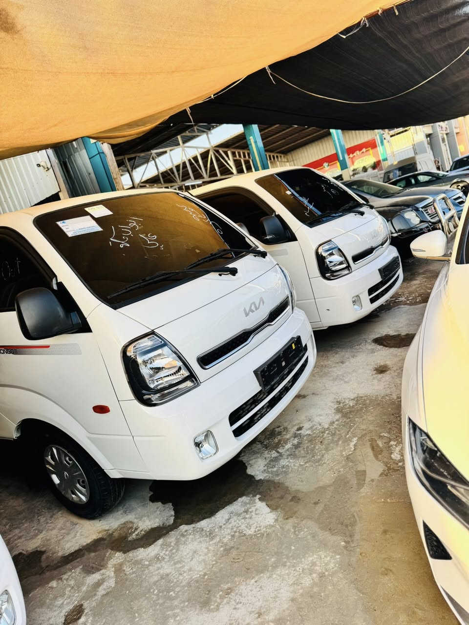 بسم الله الرحمن الرحيم
        يعلن معرض سيد حسام الشرفي  عن وصول
          اكبر وجبة من السيارات الحديثه
                             لأول مرة يتوفر بنكو غاز زيرو (ركز👁️)
بنكو غاز 2024 زيروو صفر (بتراب الشركه) ابيض
بنكو كاز 2023 مسكر ابيض
فحل 2024 غاز ابيض
دبل كاز او غاز 2023/2024 
                     ترقيم جميع محافظات العراق عدا الشمال
المكان بابل-الشوملي قرب السيطرة
للاستفسار الاتصال على 
*********** سيد عباس
***********
