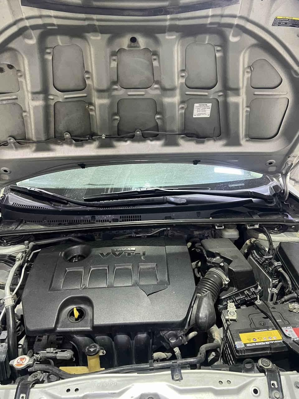 السلام عليكم كورلا2019LEحادث بصيط بدون ارباك فقط بارد بدون تبيل اي قطعه حجر رادار بدون ارباك ماشيه 115milصورالحادث مرفقه مع السونار شرط الفحص والسونار المكان ديالى 
*********** السعر مناسب
