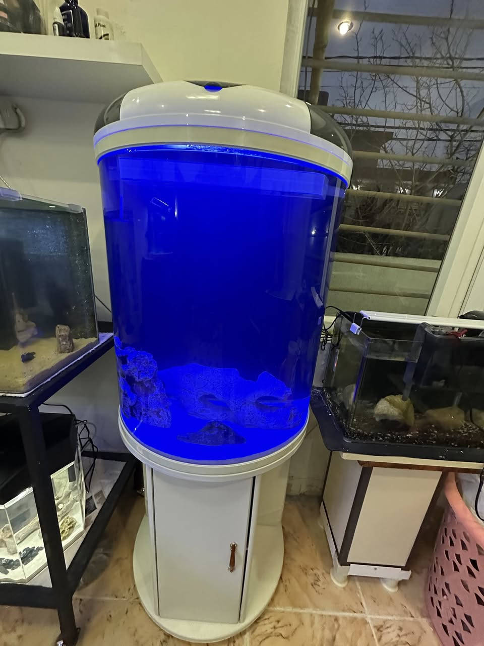 حەوزێك پێشی كامل خڕە و تایبەتە بۆ  جوانی  
ئاوگۆڕینی ناوێت فلتەری شەریكەی خۆی لەگەڵە 
لیدێكی مواسەفاتی شەریكەی  تێدایە چەندین ڕەنگی جیاوازی تێدایەو كز و زیاد ئەكرێت بە خواستی خۆت
مۆدی گۆڕینی ڕەنگەكانی تیایە بە شێوەی ئۆتۆماتیك
 چەند بەردێكی زۆر تایبەتی لەگەڵدایە
ژێری لمێكی زۆری تێدایە
پشتی  باگراوندی ڕەشی لێ دراوە
قیاسی حەوزەكە بەبێ مێز درێژی ٦٠ سم بەرزی ٧٦ سم تیرەی پانیەكەی بۆ پێشەكەی ٣٦ سم 
بەرزی حەوزەكە بە مێزەكەوە ١٤٥ سم
تێبینی : حەوزەكە بەكارهاتووە
_______
ئەوەی ویستی نامە بنێرێت لە واتس ئەپ یا ڤایبەر 
***********
گەیاندنمان تەنھا بۆ ناو سلێمانی ھەیە
