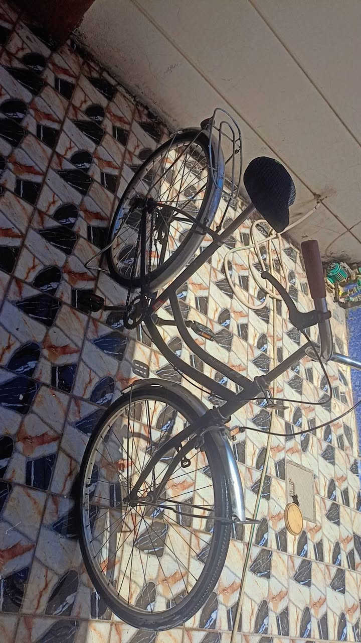 سلام عليكم ورحمة الله ♥
باسكل بايدر شغال من كلشي عل فحص تايرات جوابه جدد امامي خلفي بريكات شغاله حجم 26 لون اسود السعر 50الف وبي مجال 
العنوان / الرمادي الجمعيه 
لاستفسار ***********

