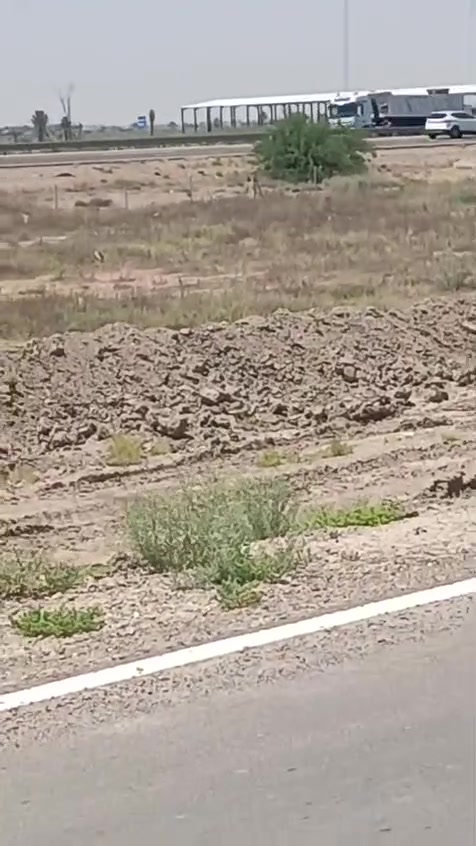 ارض زراعيه للبيع سند ٢٥ مساحتها ٣١دونم وكما مبين بالفيديو للاتصال خاص او مكتب جبل الوادي للعقار والاستثمار ***********و***********
