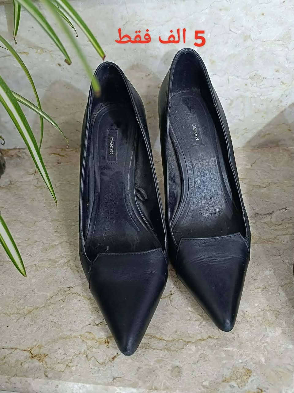 حقائب مع جنط ع ٥ الف فقط 
بالة اوربية جديدة 
توصيل داخل الصويرة الفين


**إذا كنت صاحب هذا الإعلان وتريد حذفه لأي سبب، رجاءا أرسل رسالة إلى الدعم الفني**