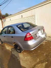 افيو خليجي • ٢٠٠٩ • بدون صبغ