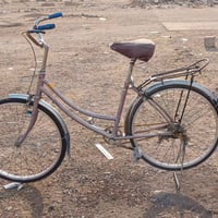 باسكل للبيع • حجم ٢٤ • بعقوبة