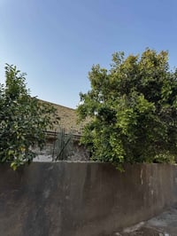 حي الميثاق • ٤٠٠م • طابو زراعي