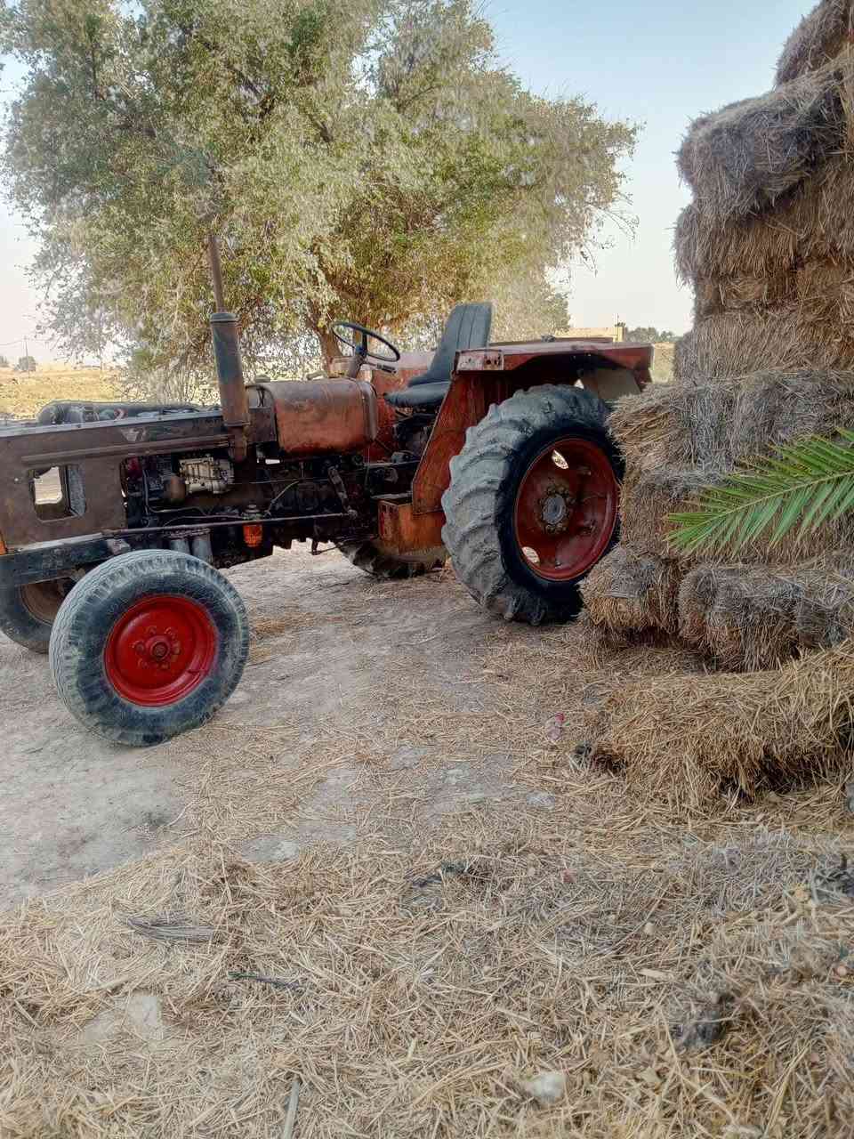 اسلام عليكم عنتر للبيع 87 رقم وسنويه  وراها معدلان  مكينه جاهزه  بريك دهن  السعر 2700 وبيه مجال  الما يعجبه المنشور يعبره *********** او *********** مكلف بالنشر
