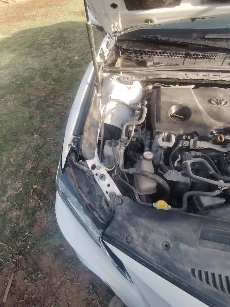 سلام عليكم كامري 2023
سياره جاهزه ونضيفه بأسمي مداور ثاني يوم حادث بنيد فقط السياره فول عدى الفتحه للأستفسار اكثر ***********
