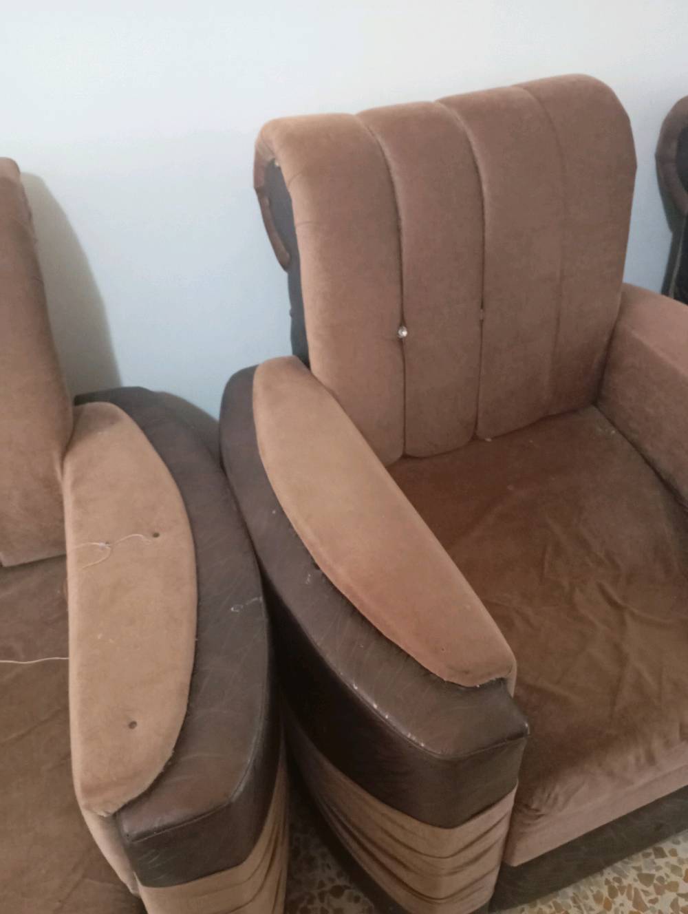 السعر مجانا الي يريدهن يجي ياخذهن عشر نفرات