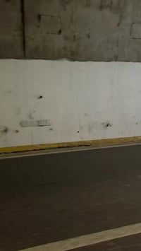 فولكس بيتل • نيوكافر • مكسيكو