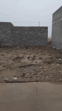 ♦️السعر ١٦ونص مليون♦️
على بركة الله ... إعلان رقم(١٥٢٨).
#قطعة_ارض_للبيع
المساحة= ١٥٠ متر(١٠×١٥).
جنس العقار/ طابو زراعي سند(٢٥).
الخدمات(ماء/كهرباء/شوارع صب).
الموقع// بعقوبة/بهرز/نهاية الدواسر/ طريق ابو الكرم.
للأستفسار الاتصال على الرقم
***********
