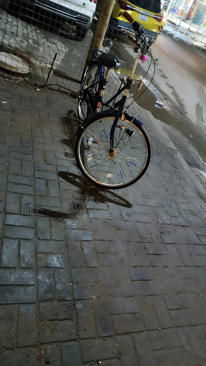 سلام عليكم عندي باسكل للبيع موديل 2022 كلشي شغال بريك امامي خلفي عكرب حساس شغال المكان بغداد الشعب السريدات الرقم *********** الرقم فقط واتساب السعر ١١٥ وبي مجال حك الجيه
